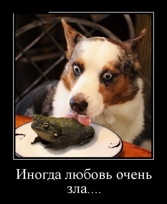 Демотиваторы