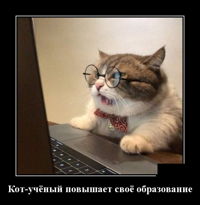 Демотиваторы