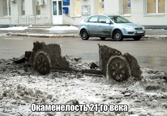 Прикольные картинки