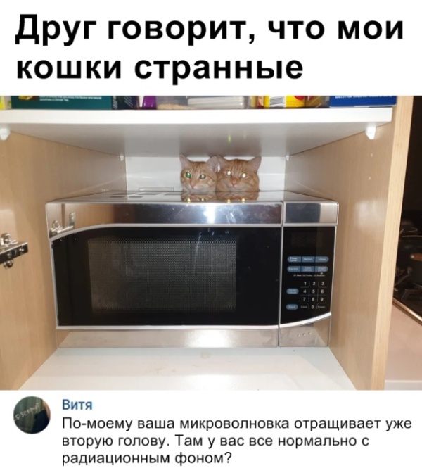 Прикольные картинки