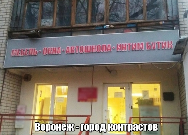 Прикольные картинки