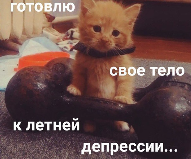 Прикольные картинки