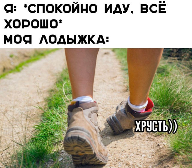 Прикольные картинки