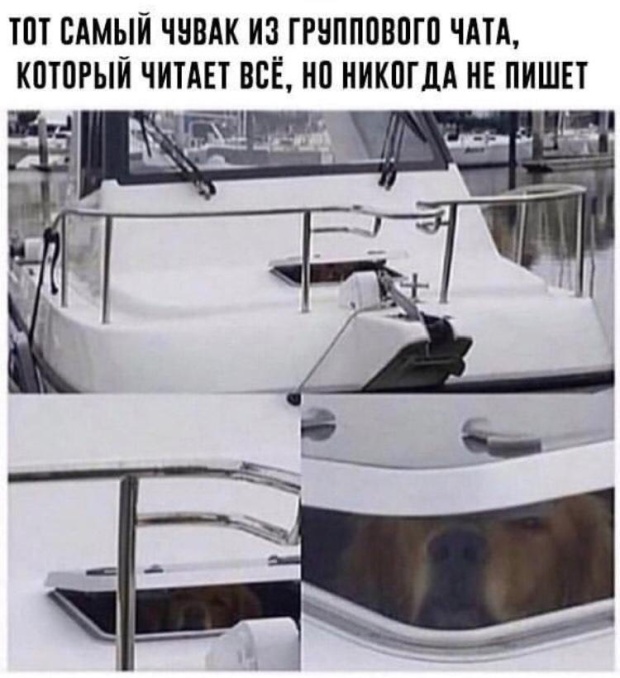 Прикольные картинки