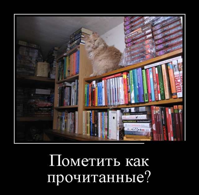 Демотиваторы
