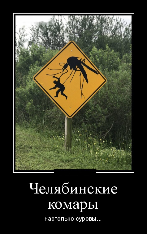 Демотиваторы