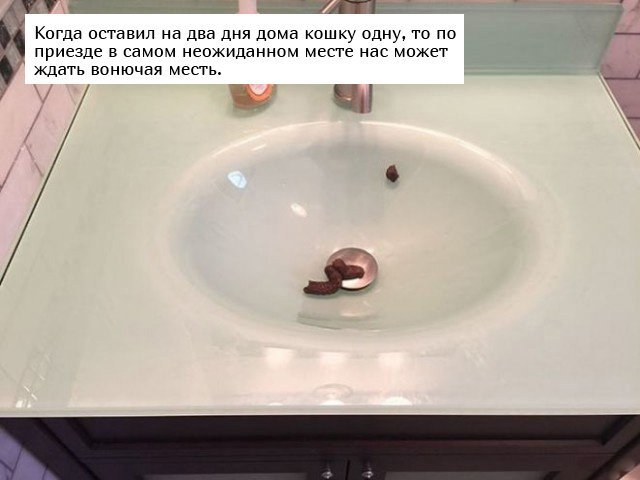 Почему сначала нужно думать, а потом делать, но не наоборот