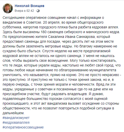 Жители Советска разграбили высаженную кедровую аллею