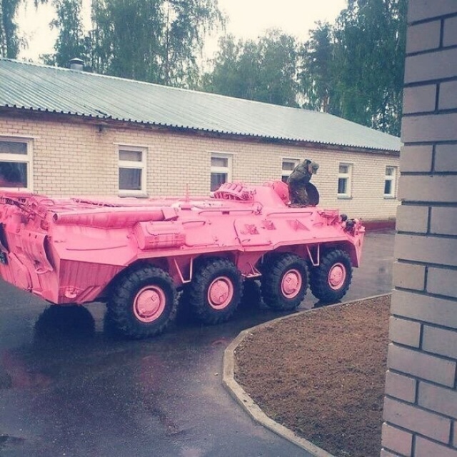 Прикольные картинки