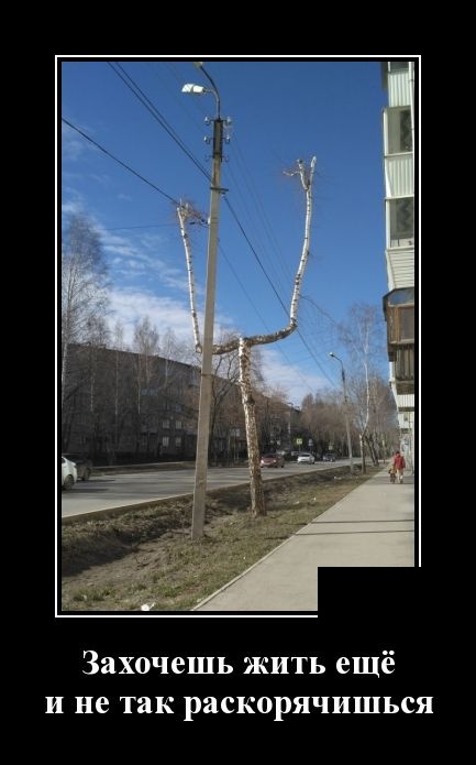Демотиваторы