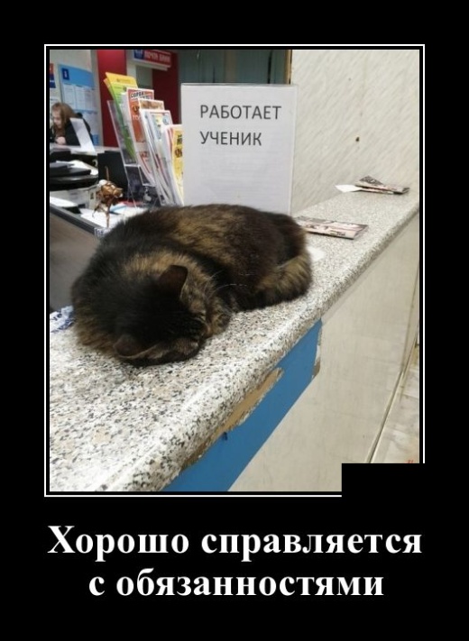 Демотиваторы