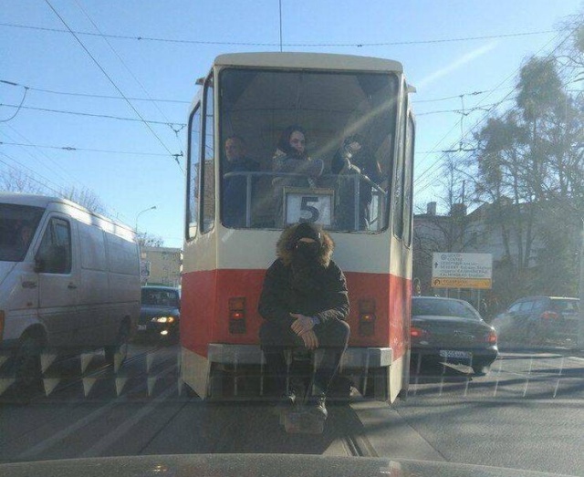 Прикольные картинки