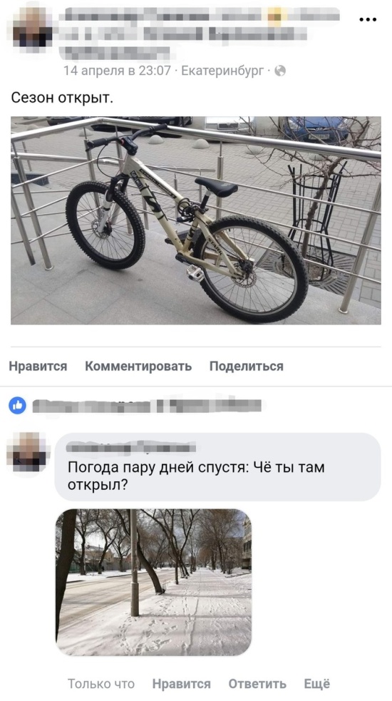 Прикольные картинки