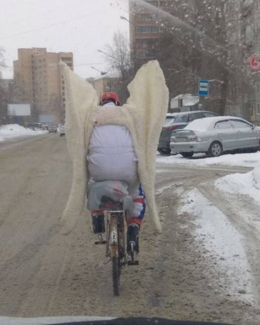 Прикольные картинки