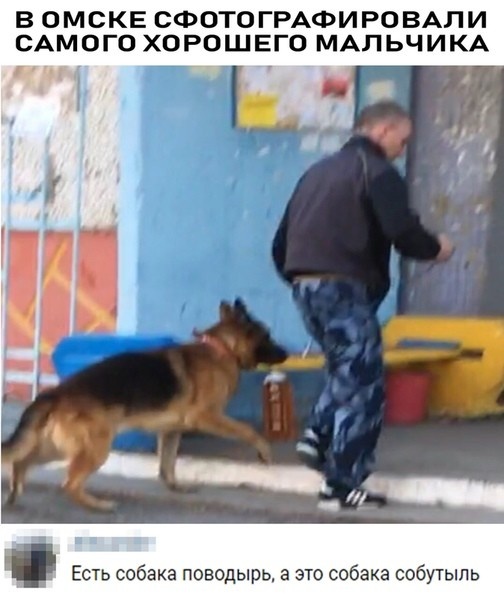 Прикольные картинки