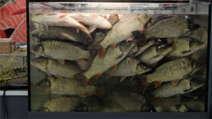 Как на прилавках магазинов маскируют продукты ненадлежащего качества Как на прилавках магазинов маскируют продукты ненадлежащего качества