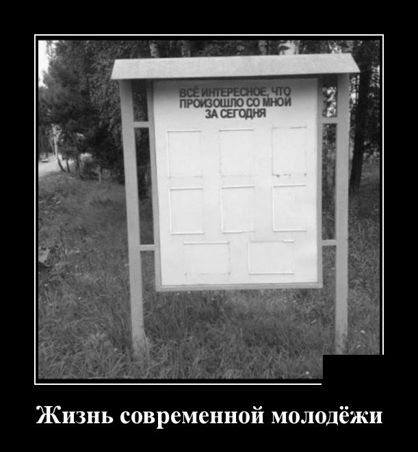 Демотиваторы
