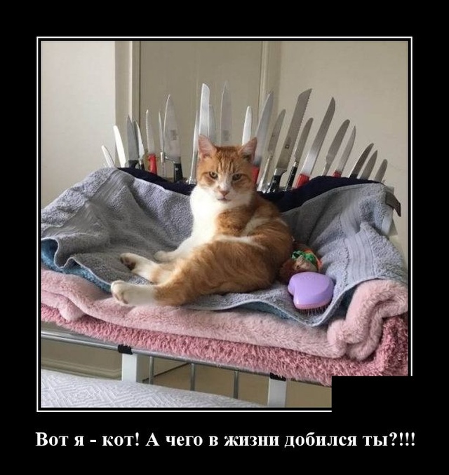 Демотиваторы