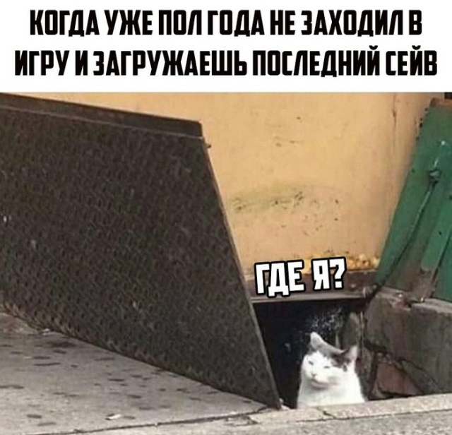 Прикольные картинки