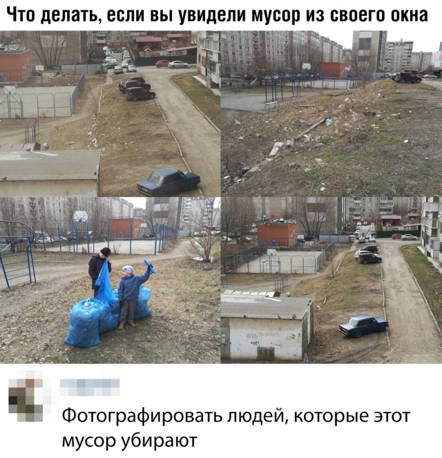 Прикольные картинки