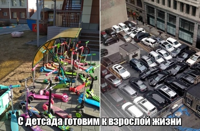 Прикольные картинки