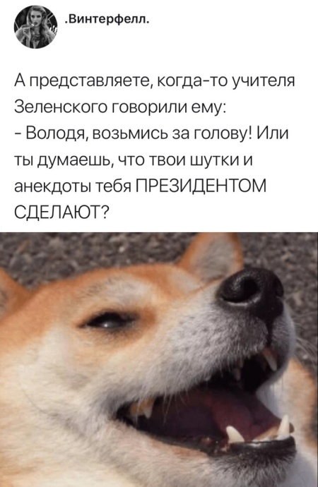 Прикольные картинки