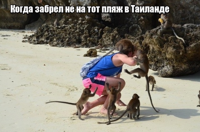 Фотоподборка, которая расскажет о странах мира лучше, чем любой путеводитель