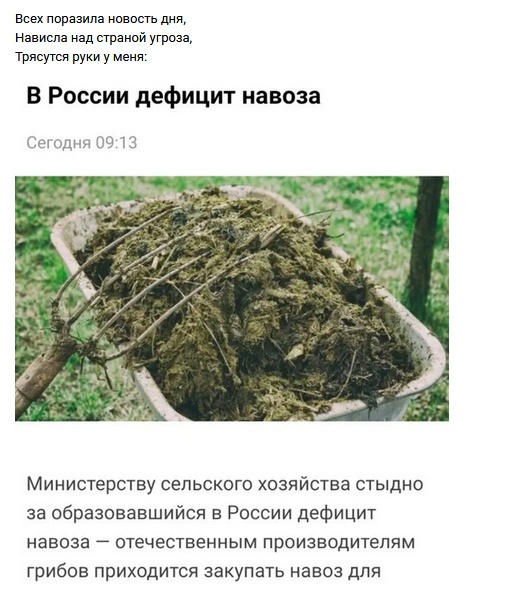 Рифмы обо всем на свете