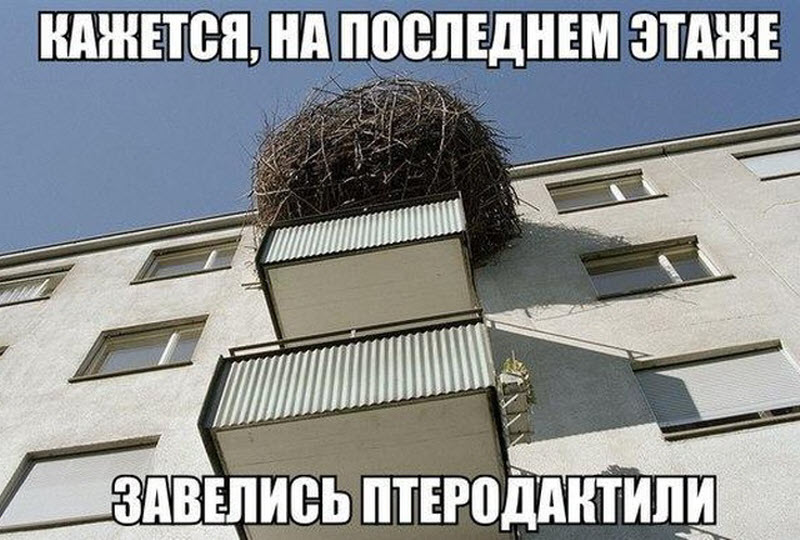 Прикольные картинки