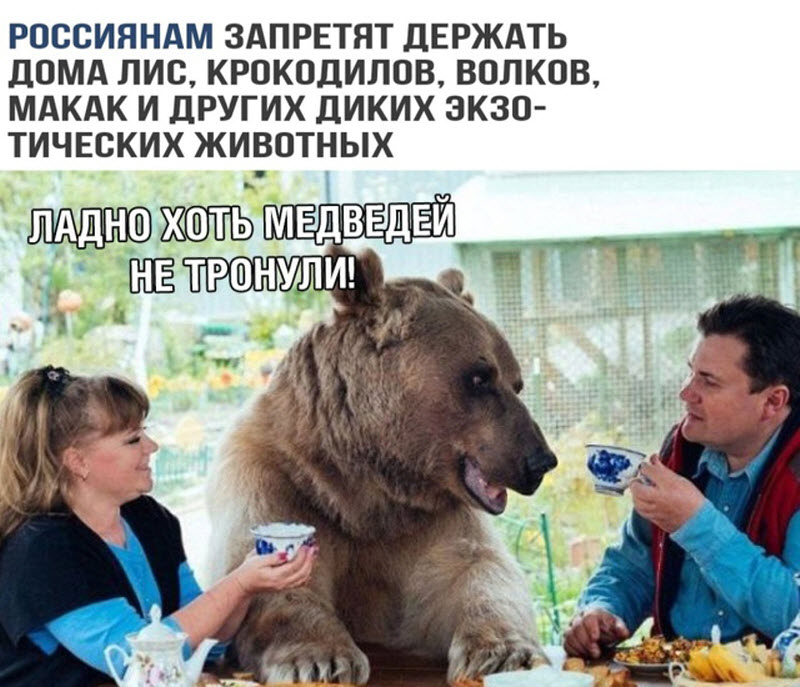 Прикольные картинки
