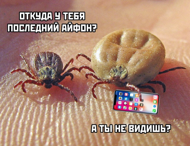 Прикольные картинки