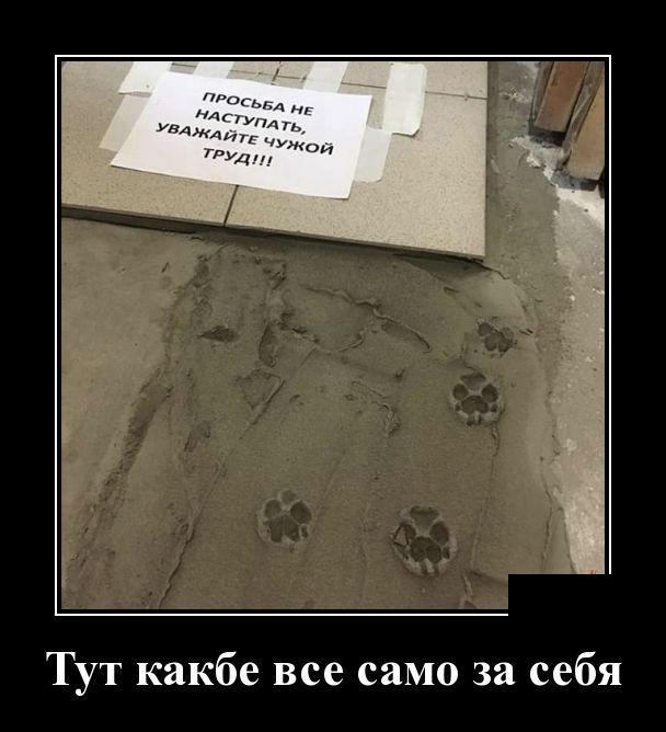 Демотиваторы