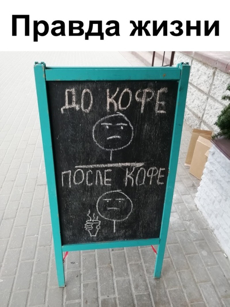 Прикольные картинки