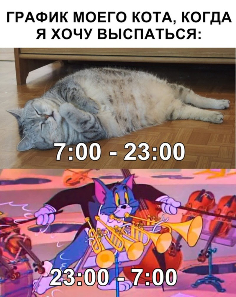Прикольные картинки