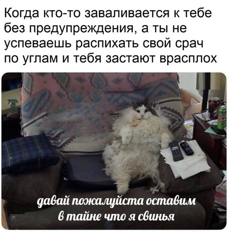 Прикольные картинки