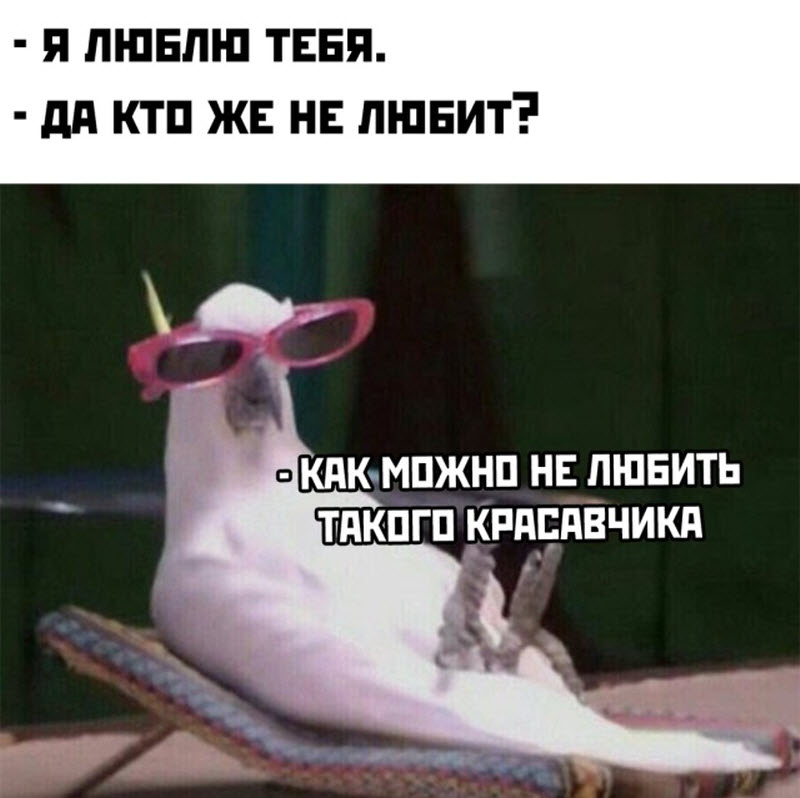 Прикольные картинки