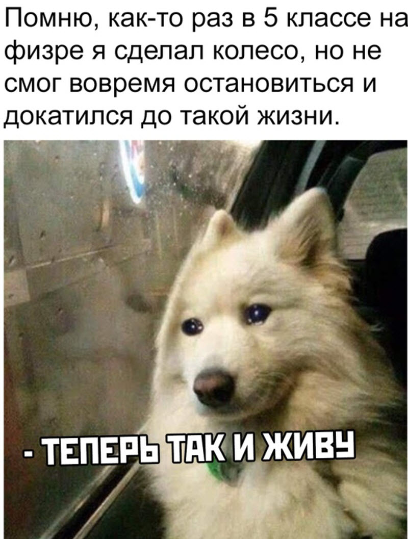 Прикольные картинки