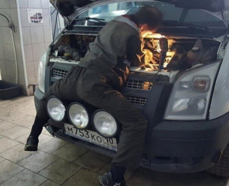 Прикольные картинки