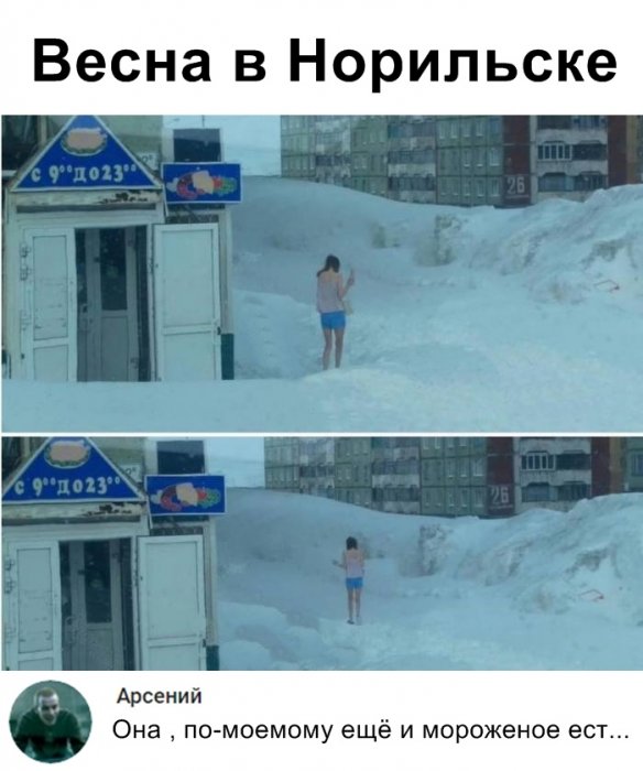 Забавные картинки