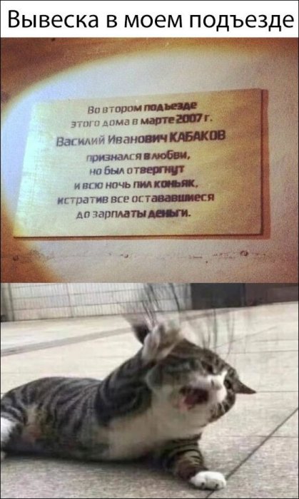 Забавные картинки