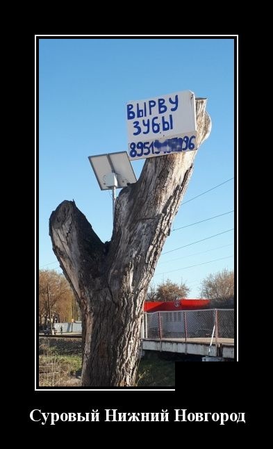 Демотиваторы