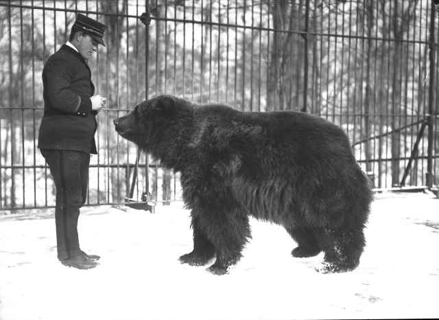 Архивные фотографии Америки Архивные фотографии Америки