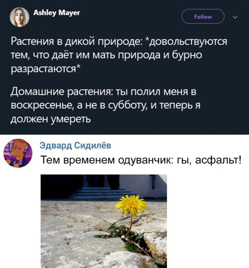 Прикольные картинки