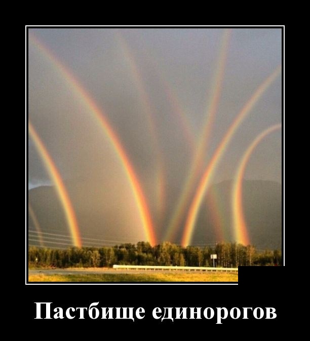 Демотиваторы