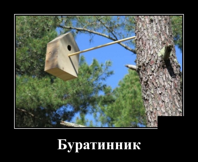 Демотиваторы