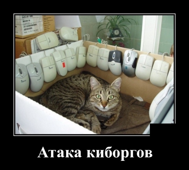 Демотиваторы