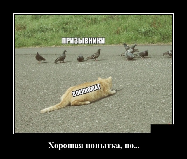 Демотиваторы