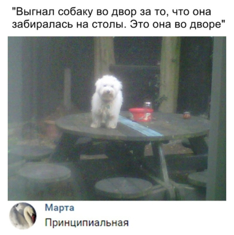 Прикольные картинки
