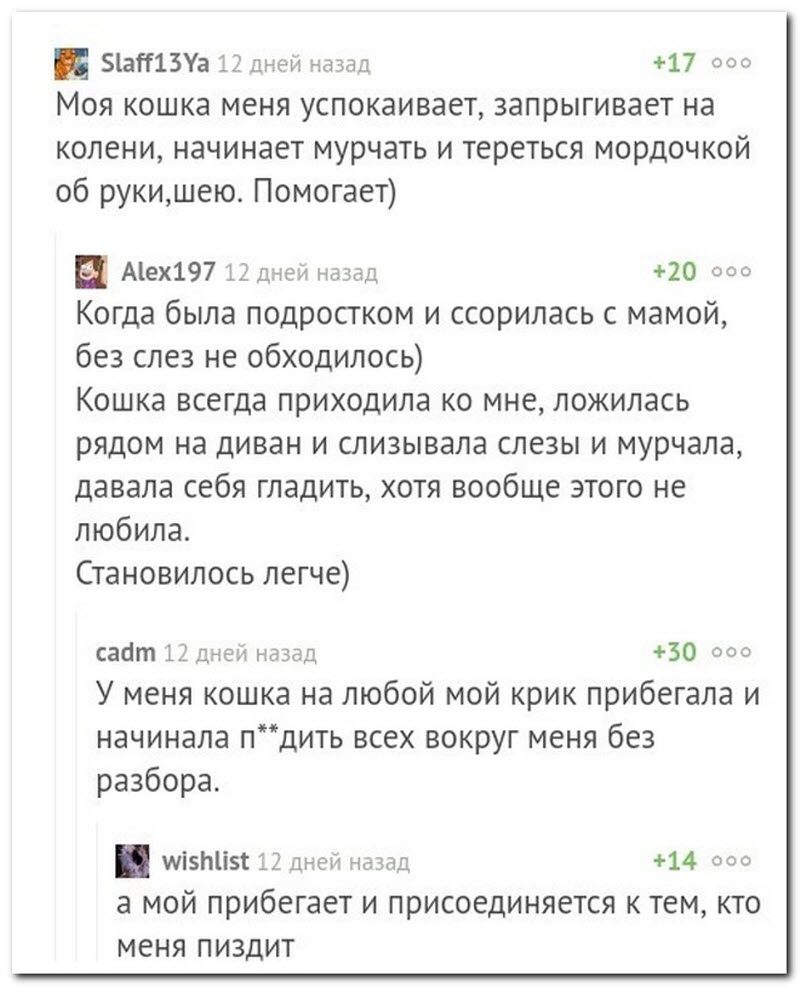 Забавные комментарии из социальных сетей