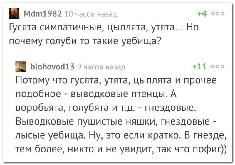 Забавные комментарии из социальных сетей